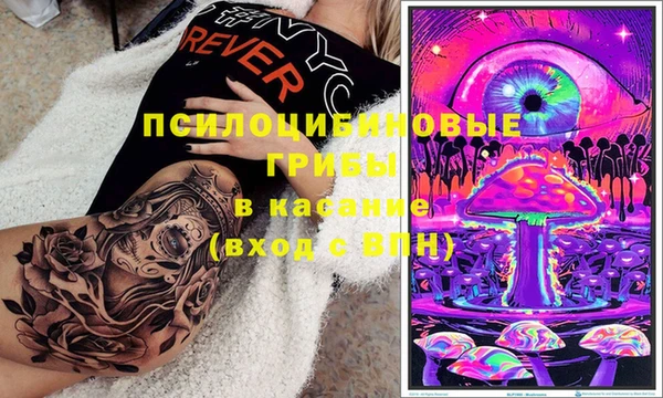 PSILOCYBIN Белокуриха