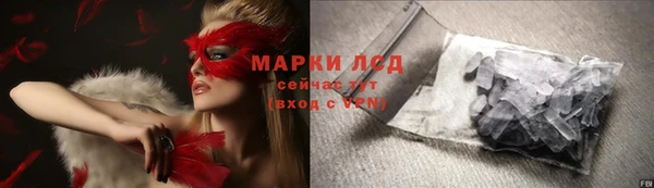 PSILOCYBIN Белокуриха
