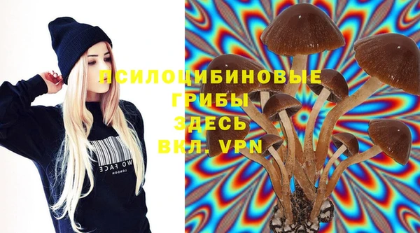 PSILOCYBIN Белокуриха