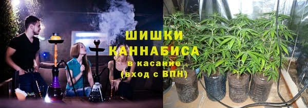 PSILOCYBIN Белокуриха